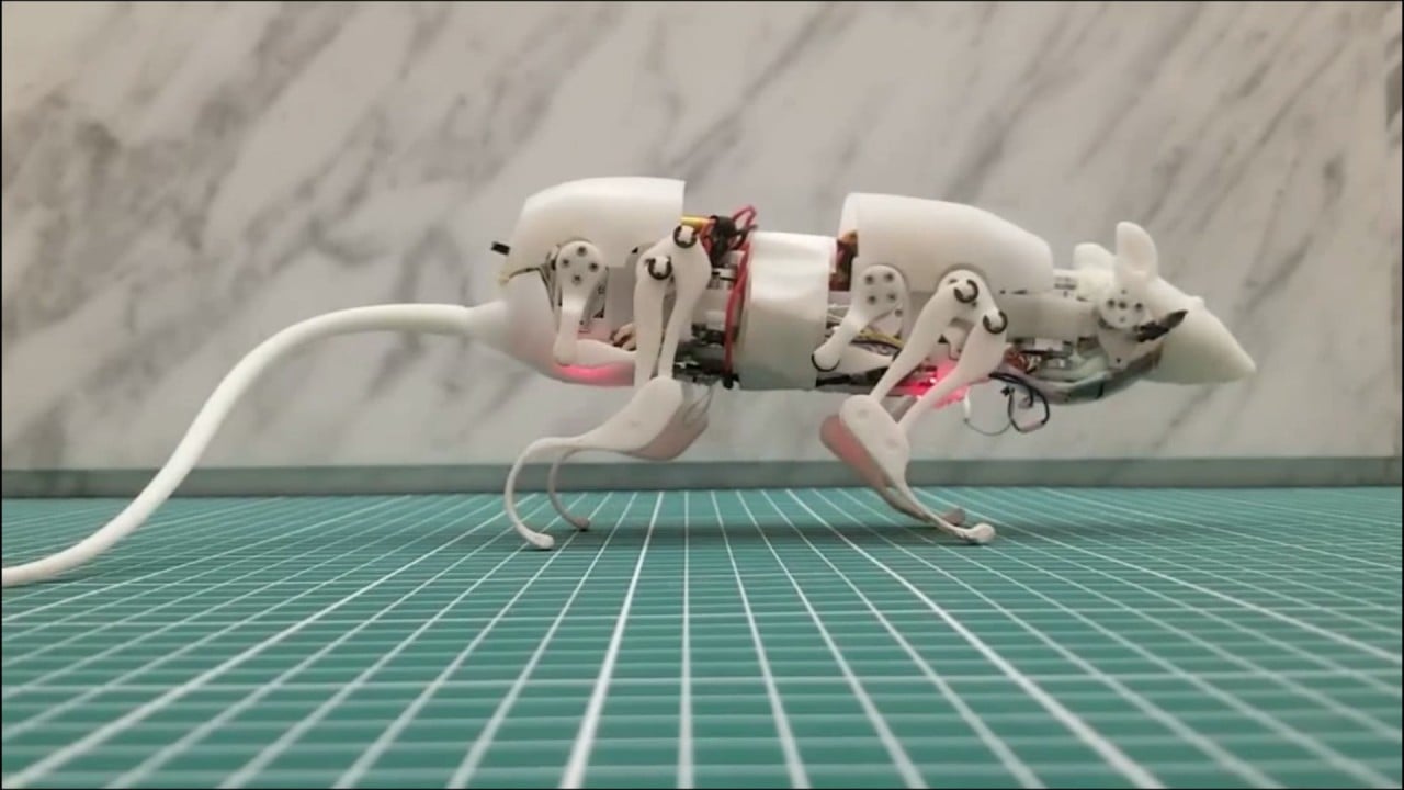 Robot rat may prove a lifesaver, Chinese scientists hope