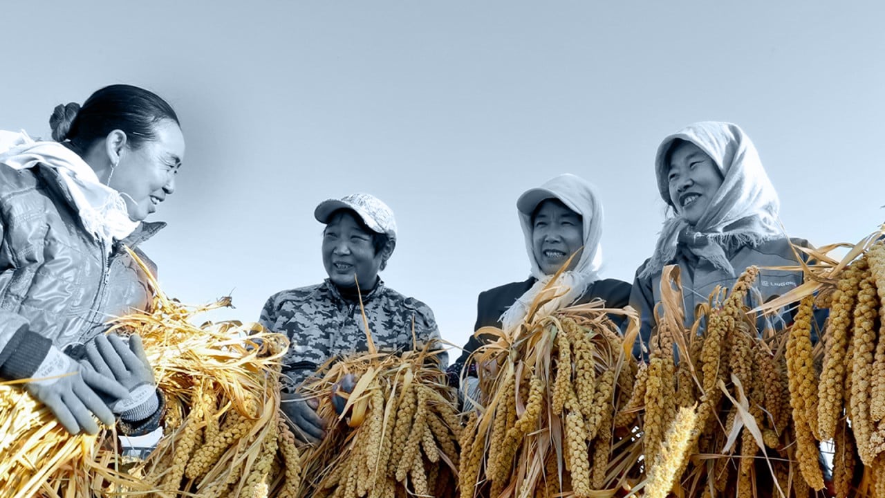 Why is the Chinese government so concerned about food security?