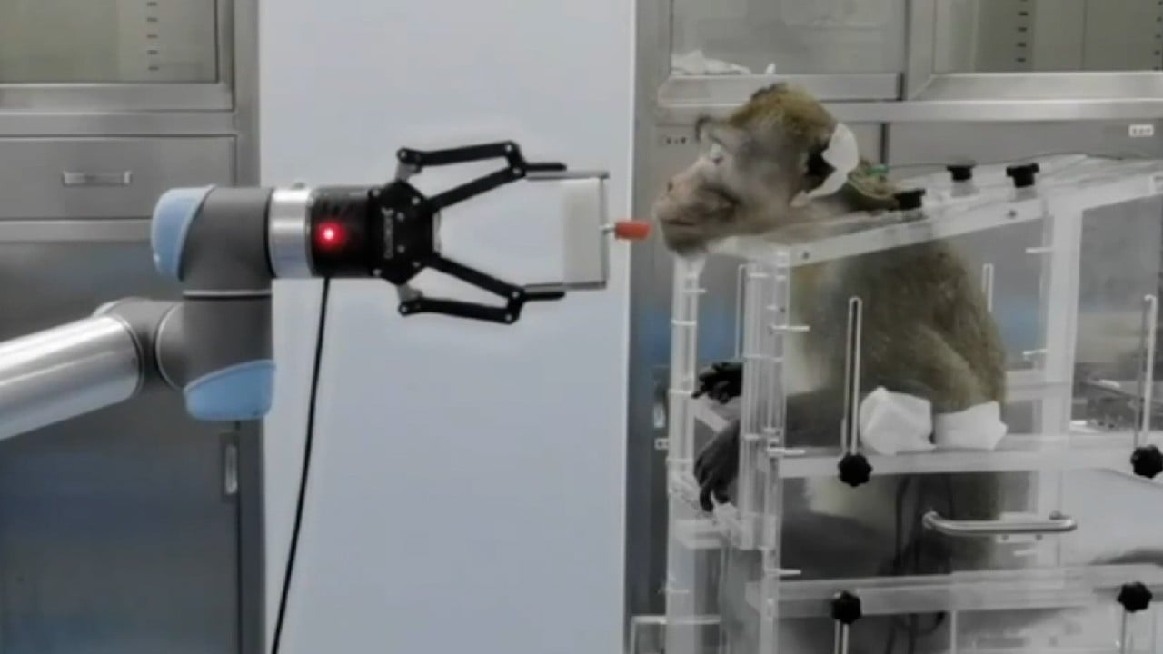 Chinese researchers claim brain-computer interface breakthrough using monkey brain signal