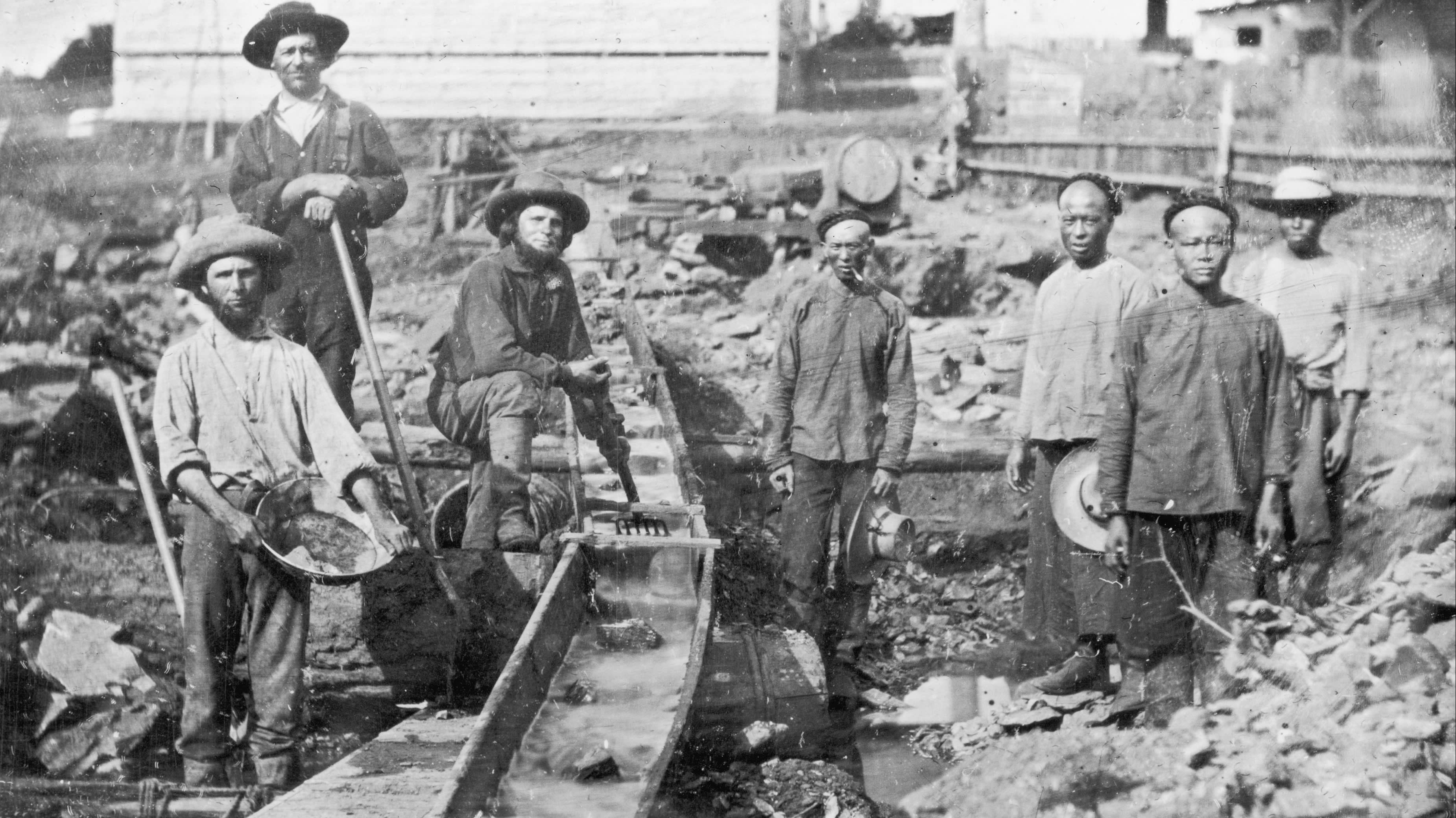 Gold miners in California in 1852. Today’s ‘picks and shovels’ companies that provide the tools for established companies to exploit AI will be certain to thrive