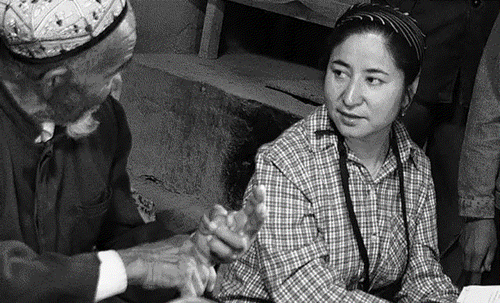 4 Rahile Dawut.png Rahile Dawut. Credit: Akida Polat/Freemymom.org