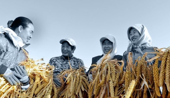 china puts localities feet to the fire to protect farmland prevent illegal dumping