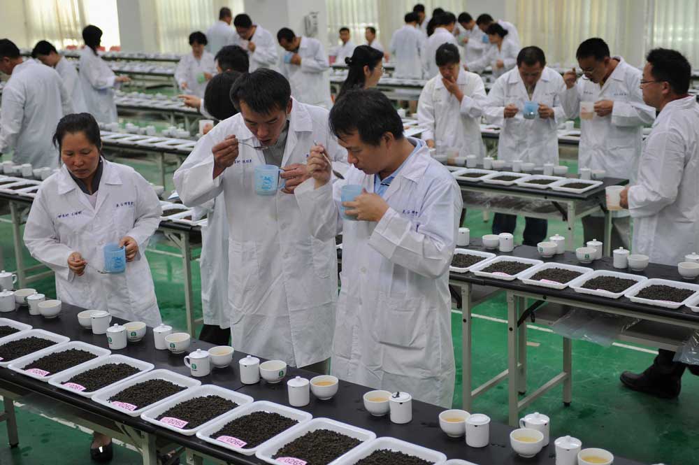 ENG_CHN_FEATUREStormInTeapot_09142023_11.jpg Judges taste tea during a tea contest in Nantou, central Taiwan. The island's tea industry peaked in 1973 when it produced 28,000 tons of tea leaves, with 23,000 tons being exported. China's traditional tea-making techniques and customs were included in UNESCO's intangible cultural heritage list last year at a time when the perfect cup of tea is getting harder and harder to find.Credit: Sam Yeh/AFP