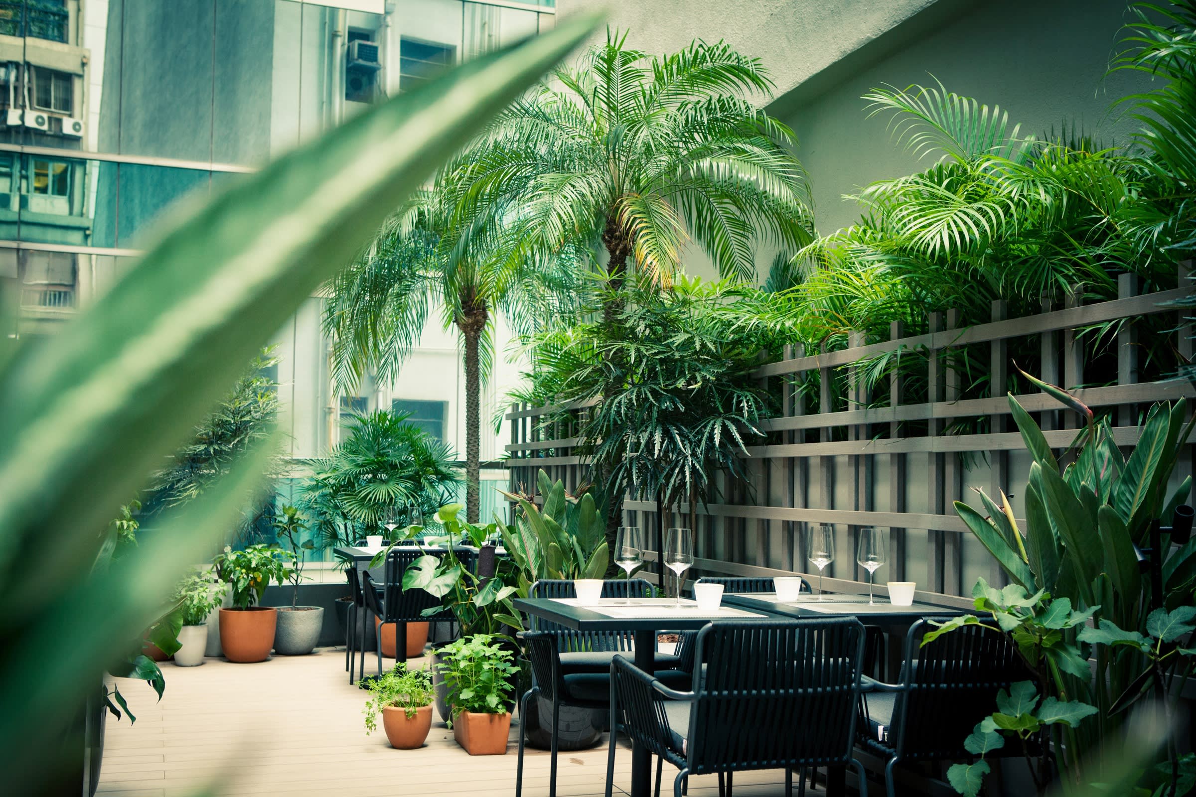 Arcane, a restaurant popular for business lunches