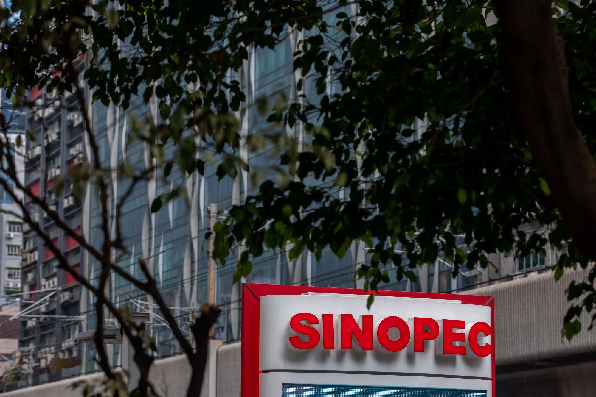 Signage for China Petroleum and Chemical Corp (Sinopec) is seen at a gas station in Hong Kong on March 25, 2023. Photo: Bloomberg