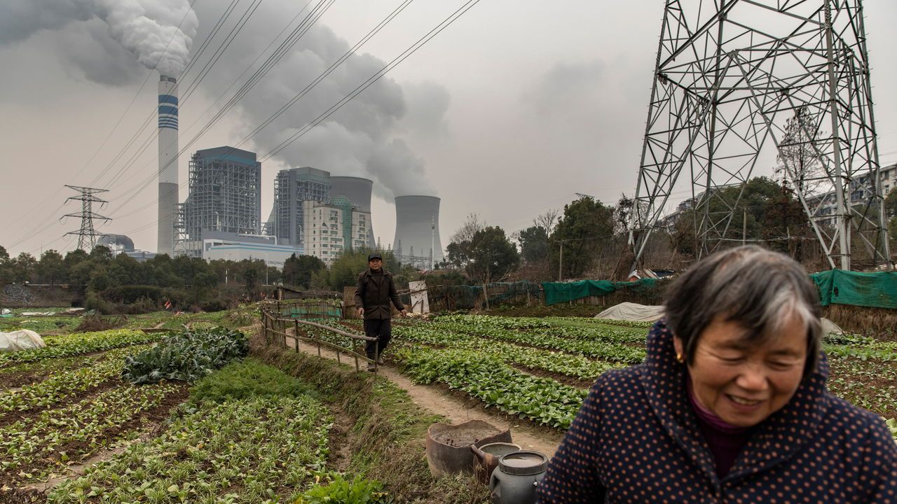 Clouds of water vapour from the cooling towers of a coal-fired power station rise into the sky behind a man and his wife as they tend to a small plot of vegetables in China