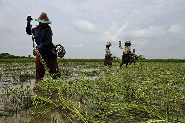 ENG_ENV_FeatureFarmers_12052023.3.jpg ENG_ENV_FeatureFarmers_12052023.3.jpg