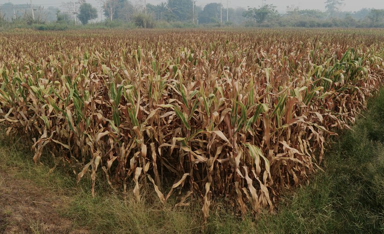 ENG_ENV_FeatureFarmers_12052023.2.jpg ENG_ENV_FeatureFarmers_12052023.2.jpg