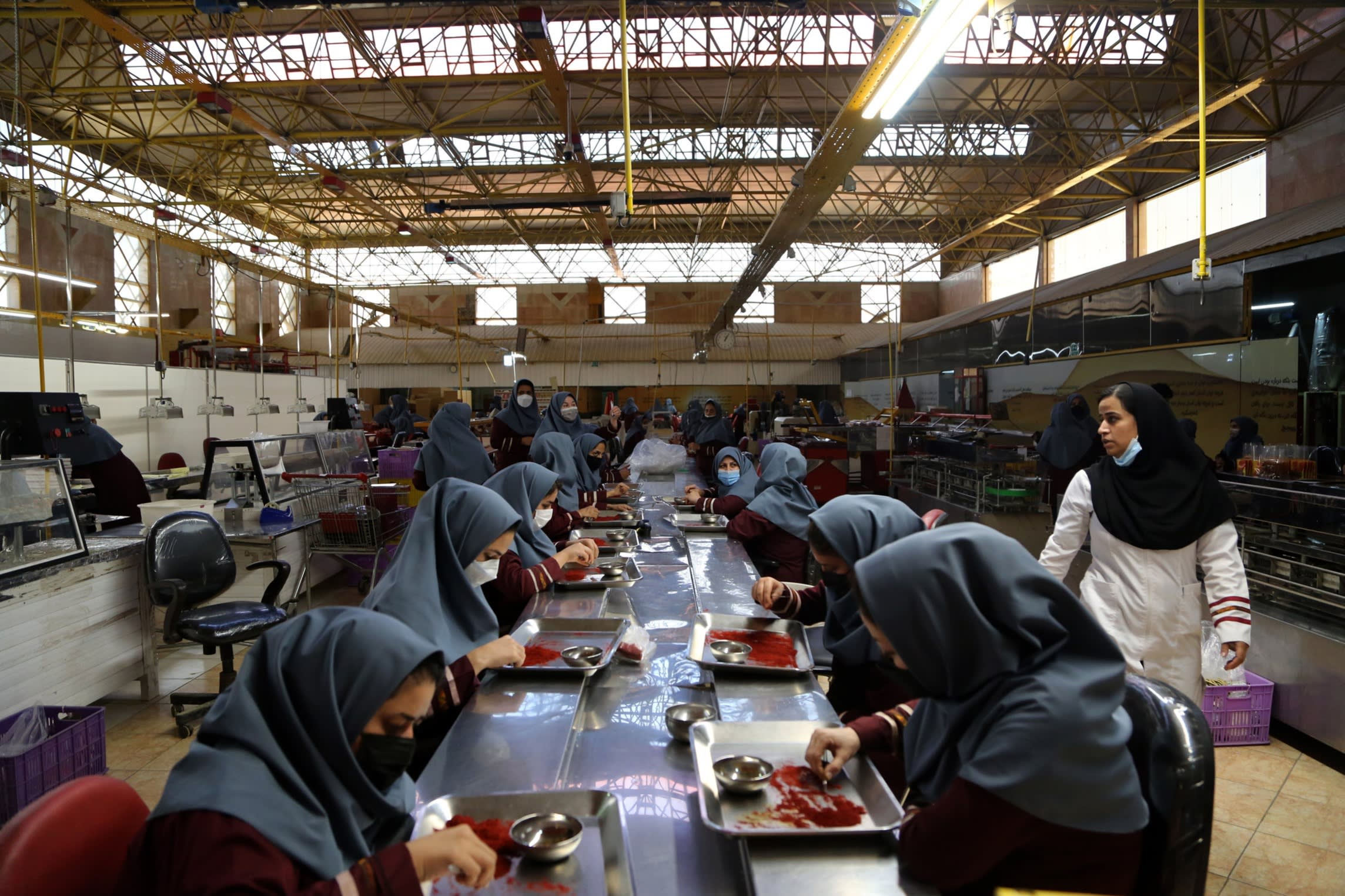 Women produce saffron by hand