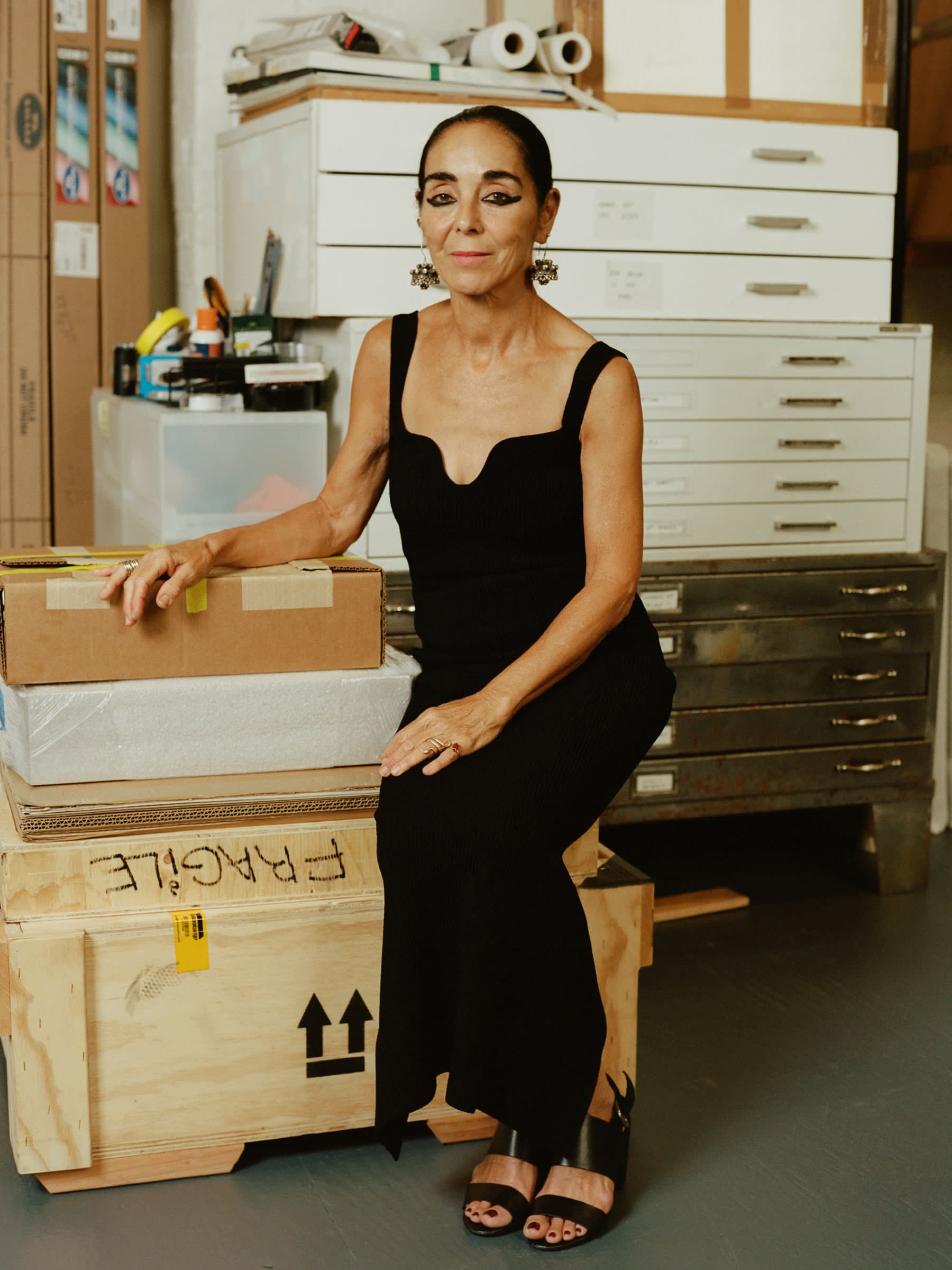 Artist Shirin Neshat