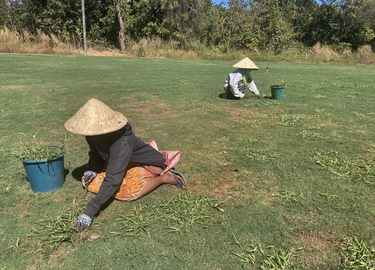 ENG_LAO_SithandoneSEZ_01042024_03.JPG ENG_LAO_SithandoneSEZ_01042024_03.JPG