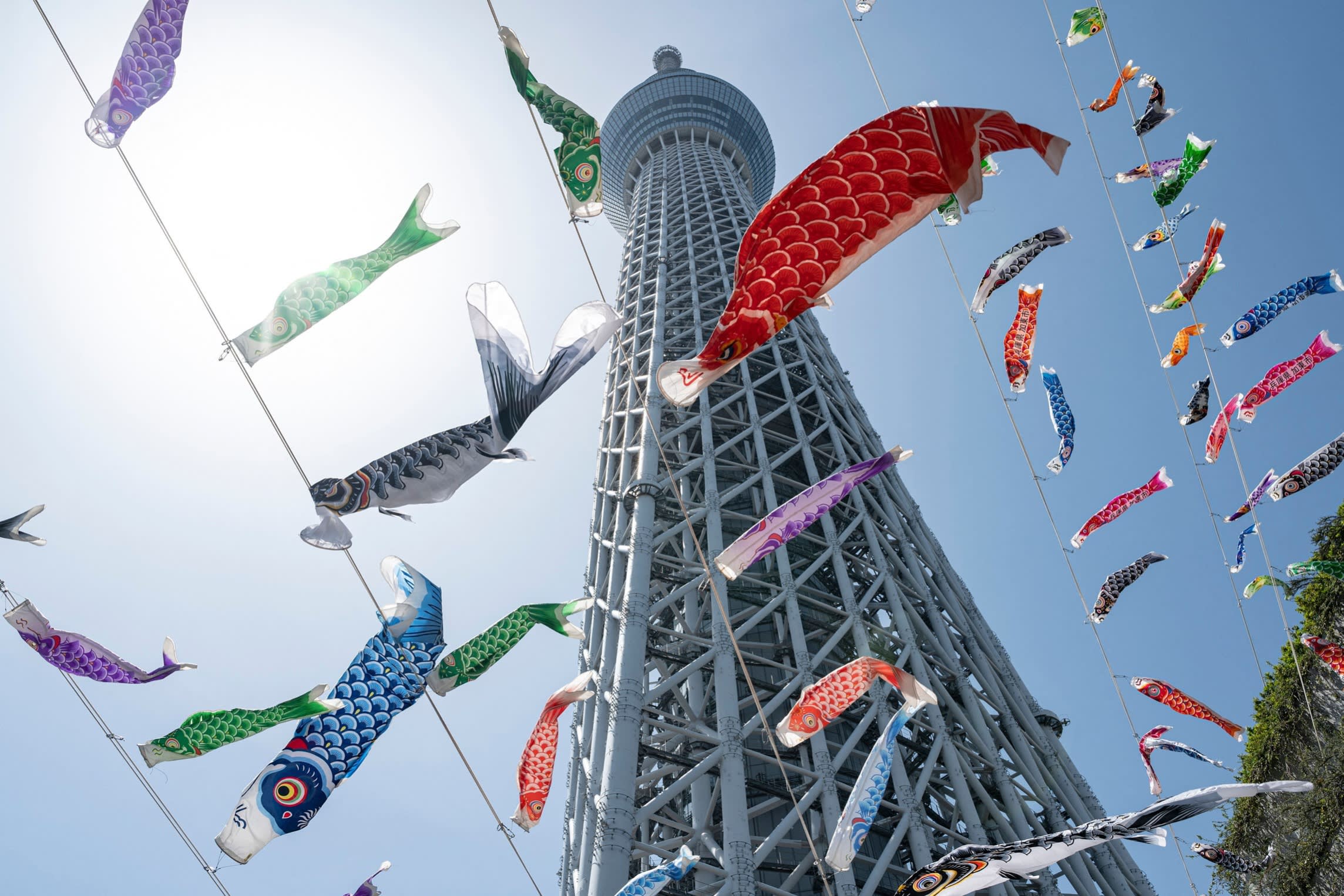 Koinobori – carp-shaped windsocks – beneath the Tokyo Skytree during last year’s Children’s Day