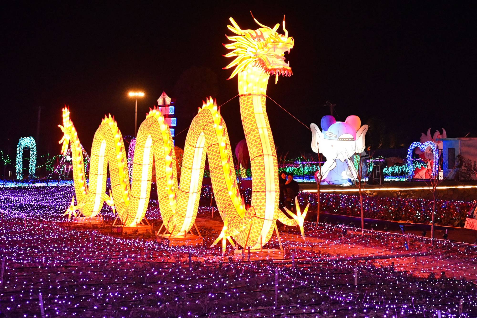 A lantern fair in an eastern mainland Chinese city on Tuesday, the third day of the Lunar Year of the Dragon. Photo: AFP