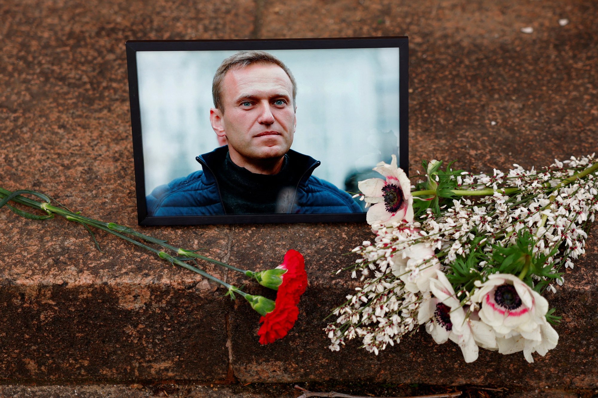 Flowers and a portrait of Russian opposition leader Alexei Navalny are laid near the Russian embassy as word of his death spread on Friday. Photo: Reuters