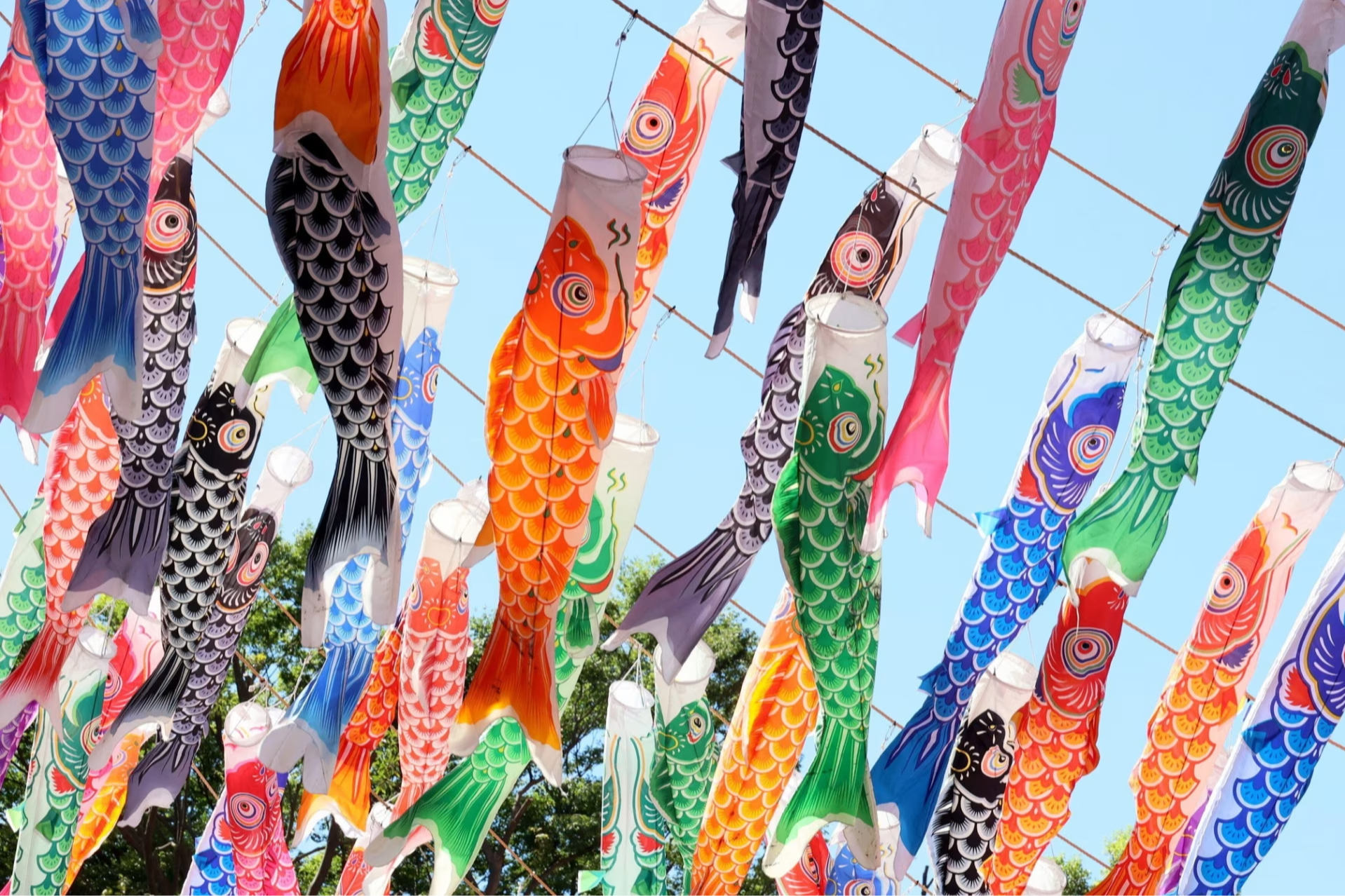 Koinobori (carp-shaped windsocks) in Tokyo on Children’s Day