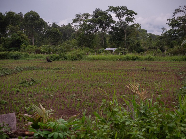 INV_CambodianCarbonScheme_022824.4.jpg INV_CambodianCarbonScheme_022824.4.jpg