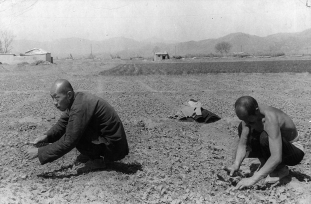 ENG_CHN_INTERVIEWFrankDikotter_02222024.4.jpg Farmers toil in the field of a collective farm near Beijing in 1950. (Pictorial Parade/Archive Photos/Getty Images)