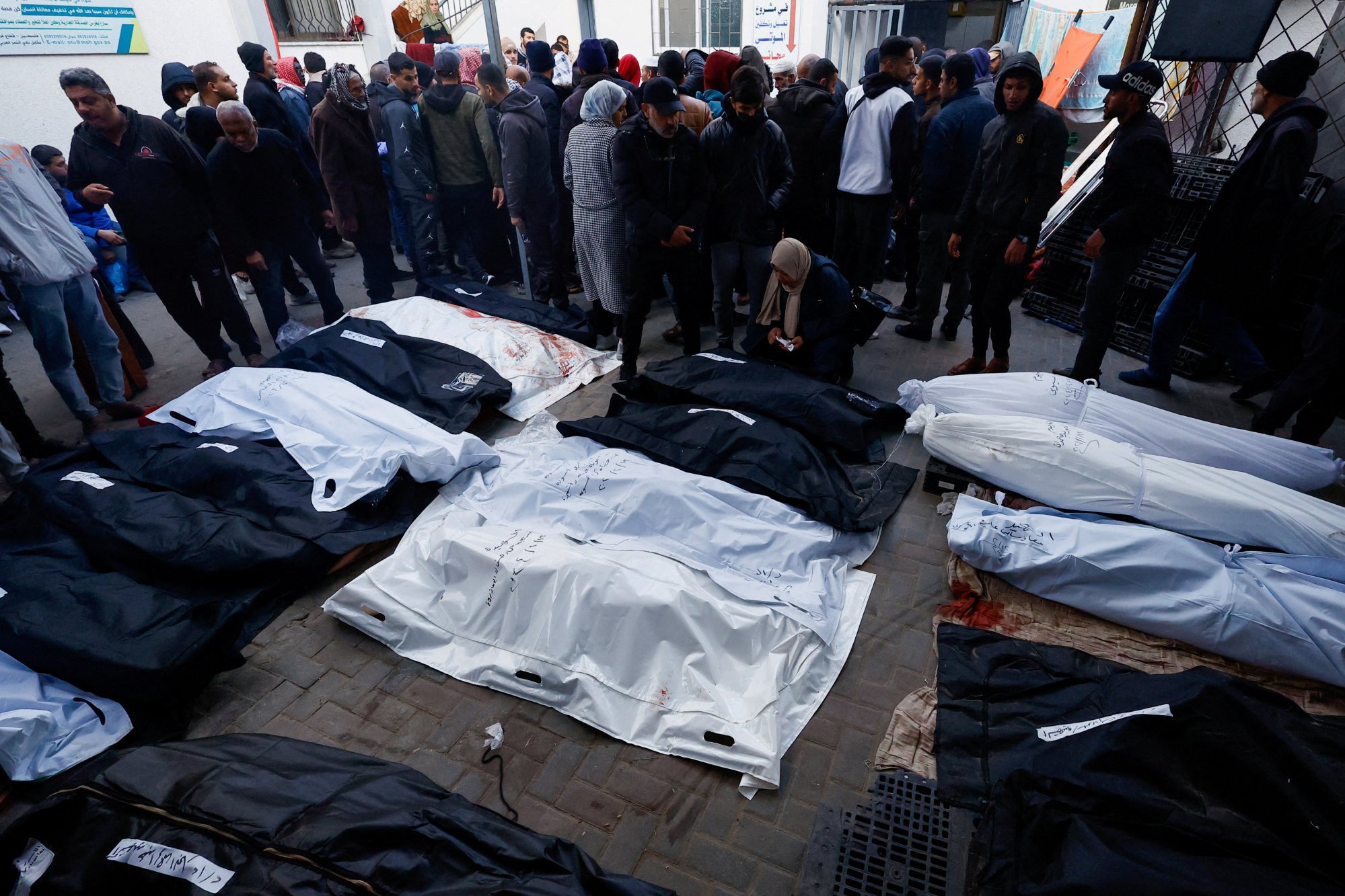 Bodies of Palestinians killed in Israeli strikes in Rafah, in the southern Gaza Strip. Photo: Reuters