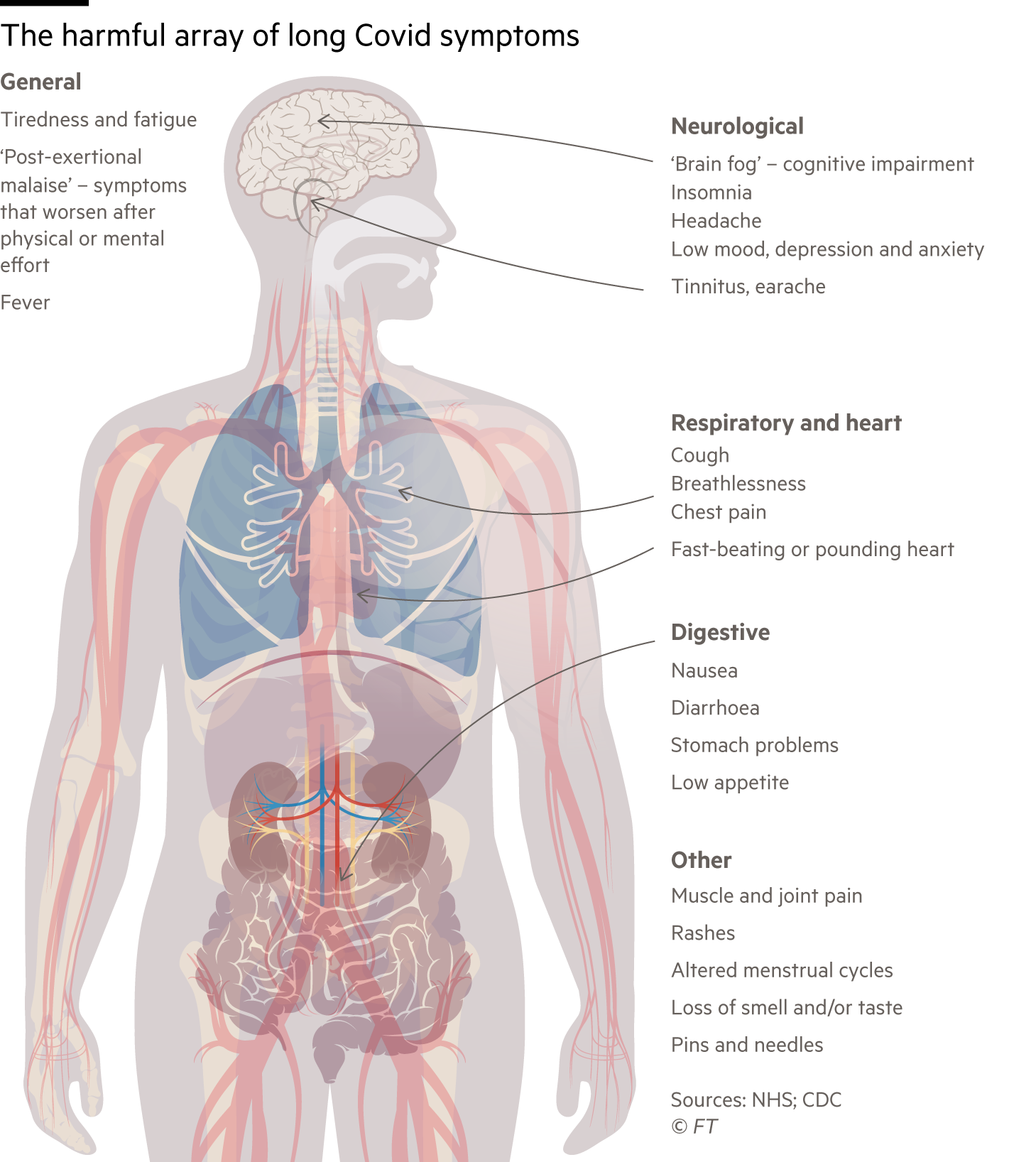 Diagram highlighting the most common symptoms of long Covid