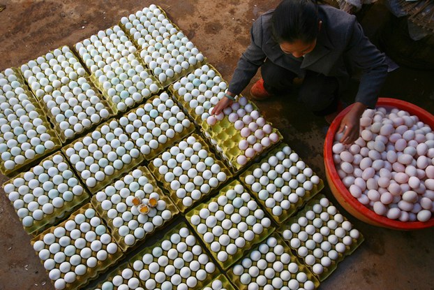 ENG_CHN_SudanRed_03052024.3.jpg A vendor arranges duck eggs at a market in Kunming, capital of southern China's Yunnan province, on Nov. 16, 2006, after Sudan Red dye and other banned food additives were detected in salted duck eggs. (Reuters)