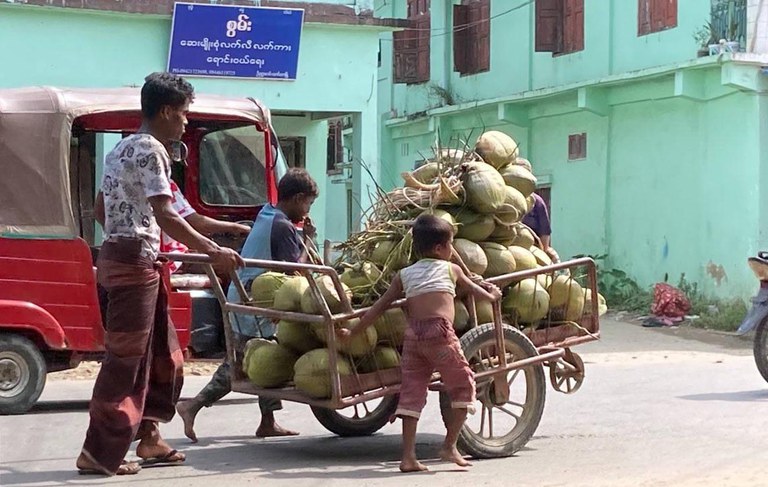 ENG_BUR_RakhineJunta_03192024.2.jpg Rohingya youths and children sell coconut juice in Maungdaw in October 2023. (RFA)