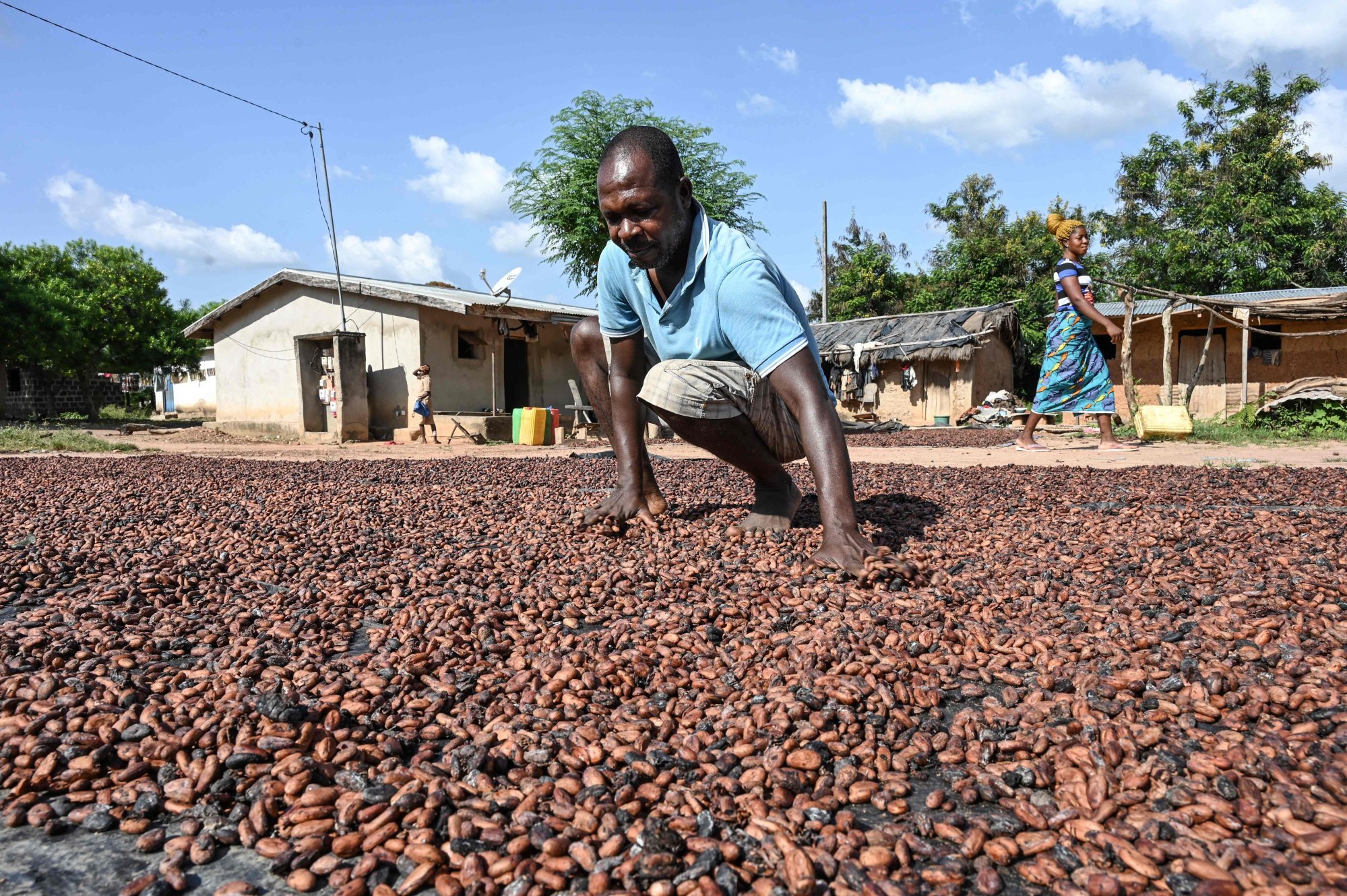 A farmer drying cocoa in Bringakro, a village in Djekanou, Ivory Coast on November 17, 2022. While chocolate prices continue to soar, cocoa farmers’ earnings have remained flat. Photo: AFP
