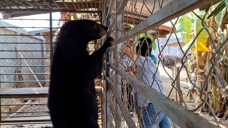 ENG_LAO_RescuedBears_02262024.2.jpg ENG_LAO_RescuedBears_02262024.2.jpg