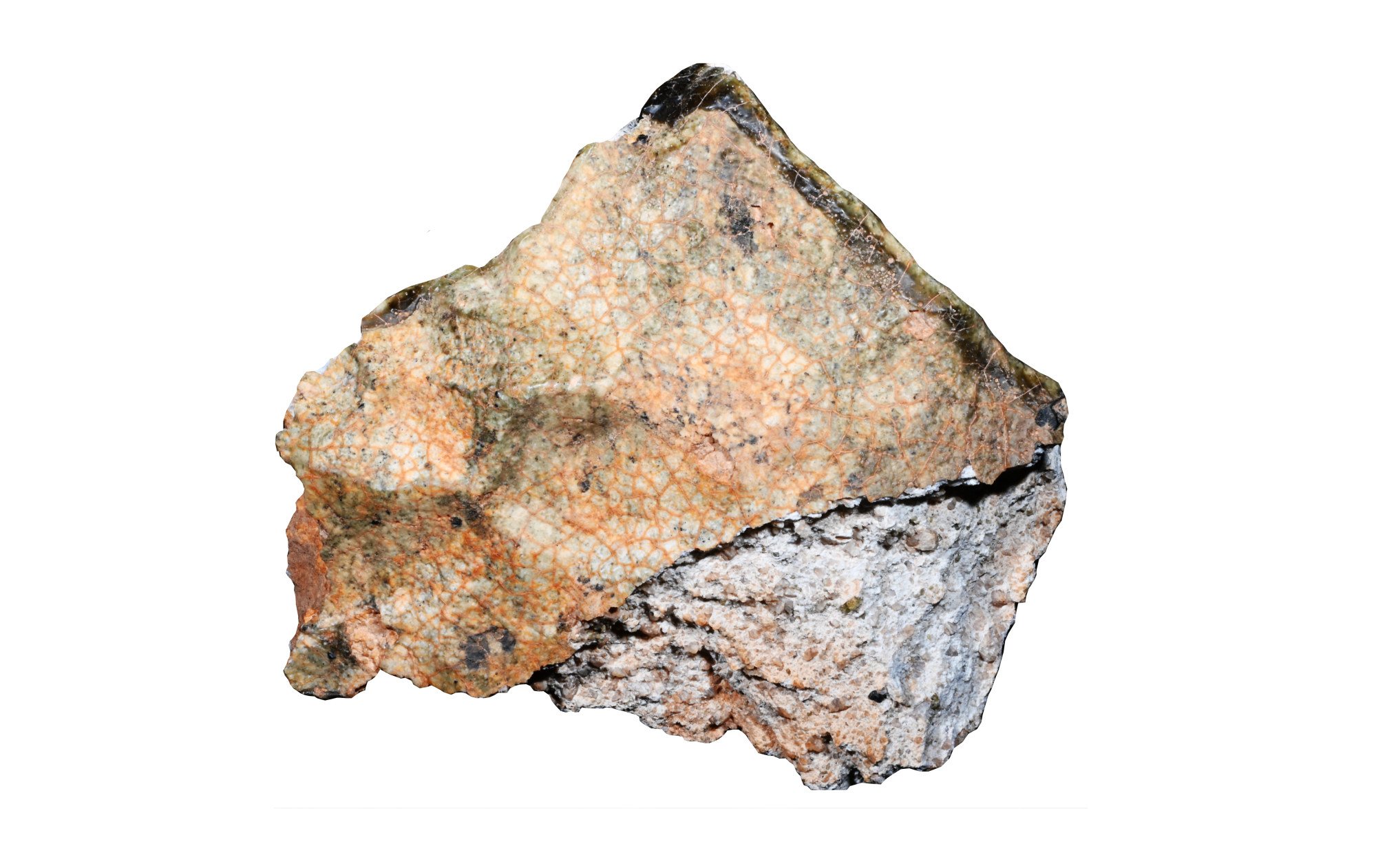 The meteorite was found in Algeria and later sold to a Chinese buyer. Photo: Handout