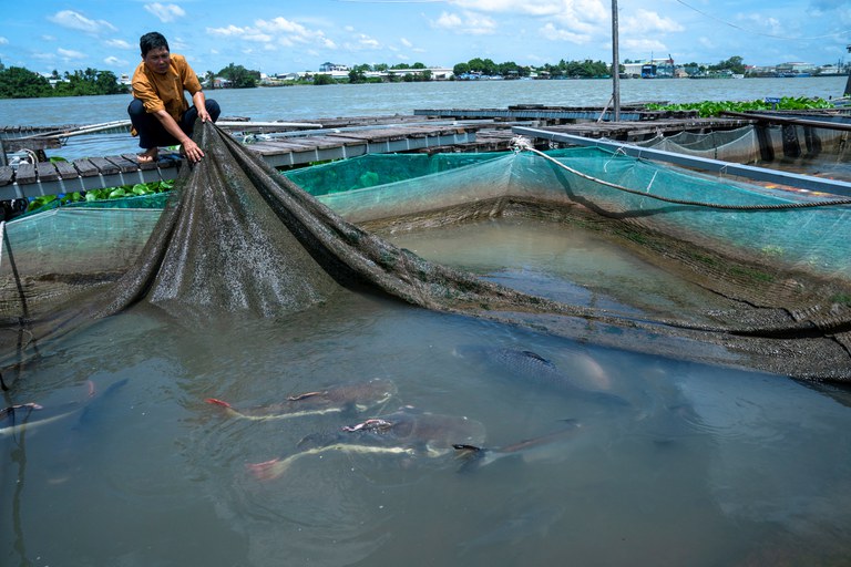 Mekong fisherman.JPG Mekong fisherman.JPG