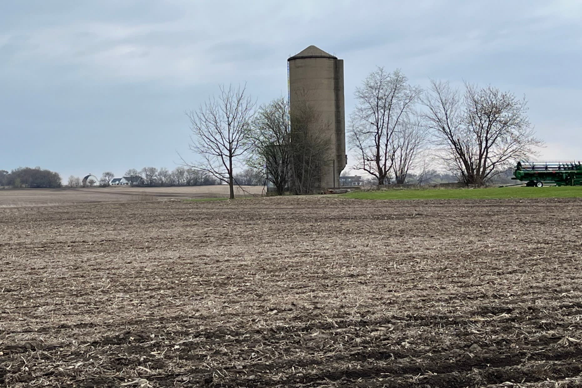 A soyabean field in Illinois