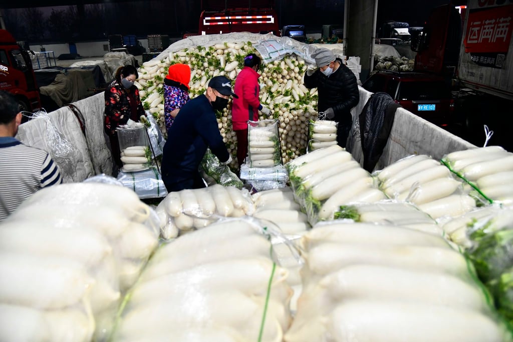 China’s expertise in desert farming will be applied to the United Arab Emirates with the construction of a new agricultural technology centre. Photo: Xinhua