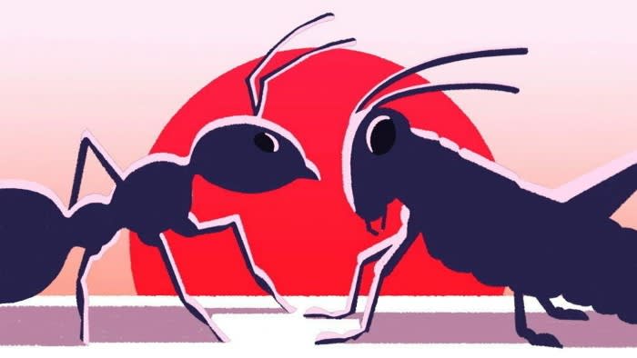 An ant faces off with a grasshopper, the