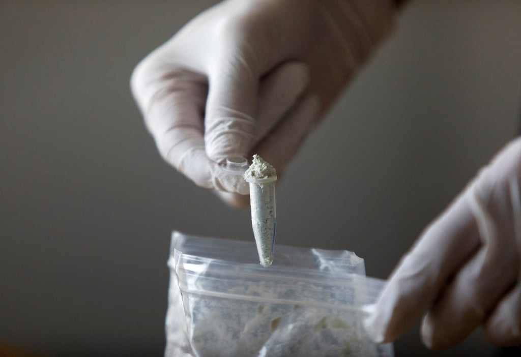 The Trump administration cited fentanyl precursors, pictured here, as a basis for ordering higher tariffs on China, Mexico and Canada this year. Photo: Reuters The Trump administration cited fentanyl precursors, pictured here, as a basis for ordering higher tariffs on China, Mexico and Canada this year. Photo: Reuters