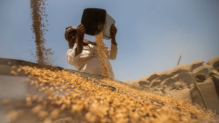 An Indian worker unloading a shipment of wheat