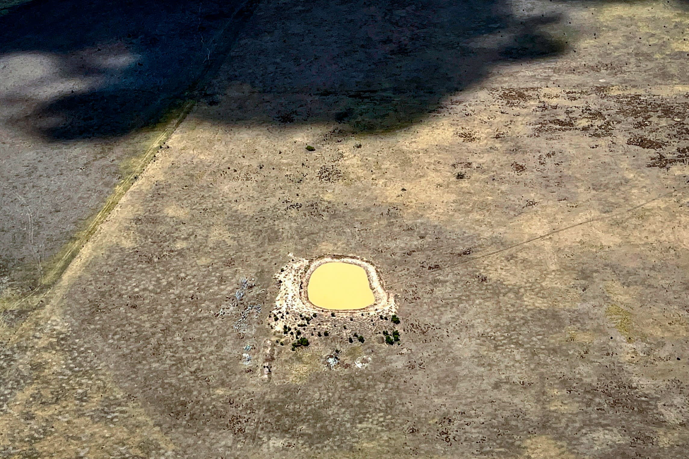 A reservoir in a drought-hit paddock near Melbourne in January