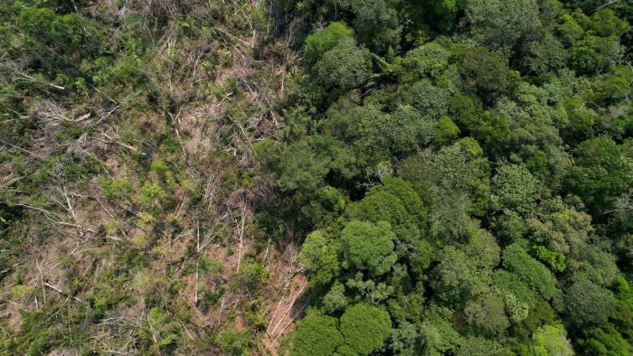 A drone view shows a deforested plot of Brazil’s Amazon rainforest in the municipality of Humaita, Amazonas state, Brazil