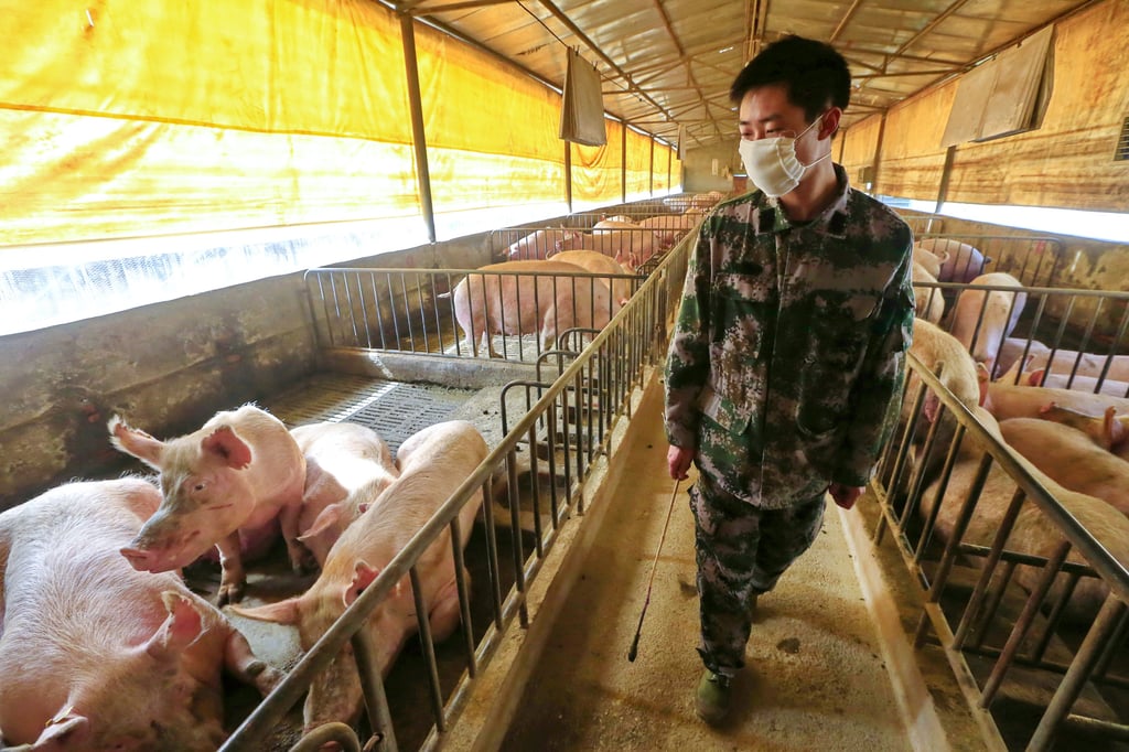 The team examined faeces from livestock from around the world. Photo: EPA-EFE The team examined faeces from livestock from around the world. Photo: EPA-EFE