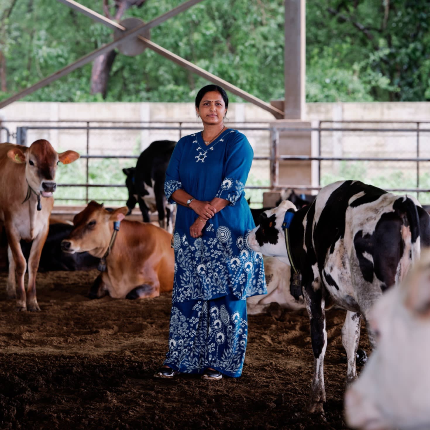 Mittalben Patel, a farmer, at Amul’s breeding facility in Mogar