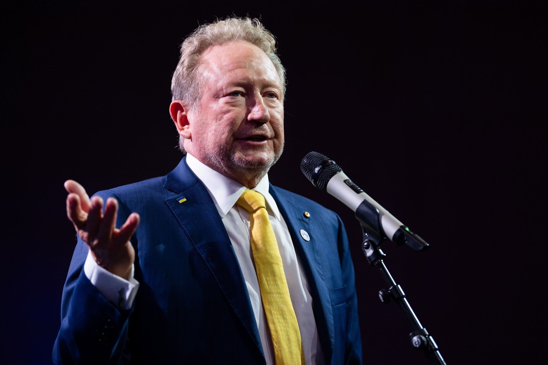 Fortescue Metals Group chair Andrew Forrest in February 2024