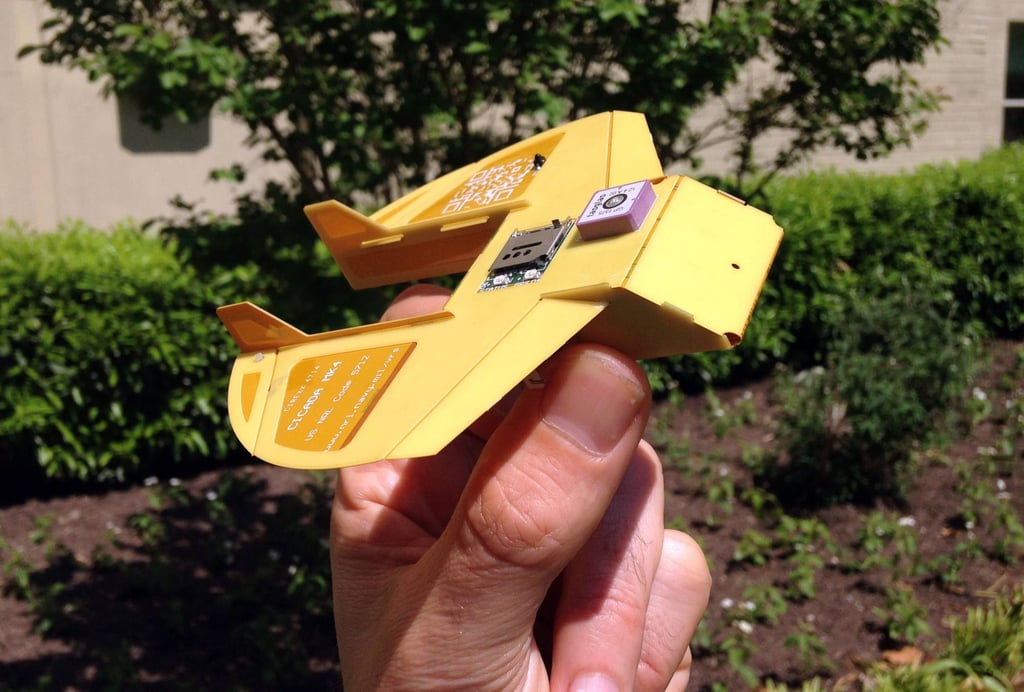 A Cicada is a miniature drone invented by US military scientists, designed to be smaller, cheaper and simpler than any other robotic aircraft – but still able to carry out a mission in a remote battlefield. Photo: AFP