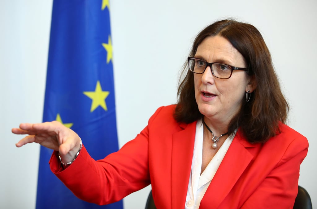 Cecilia Malmstrom was the European trade commissioner from 2014 to 2019. Photo: Reuters