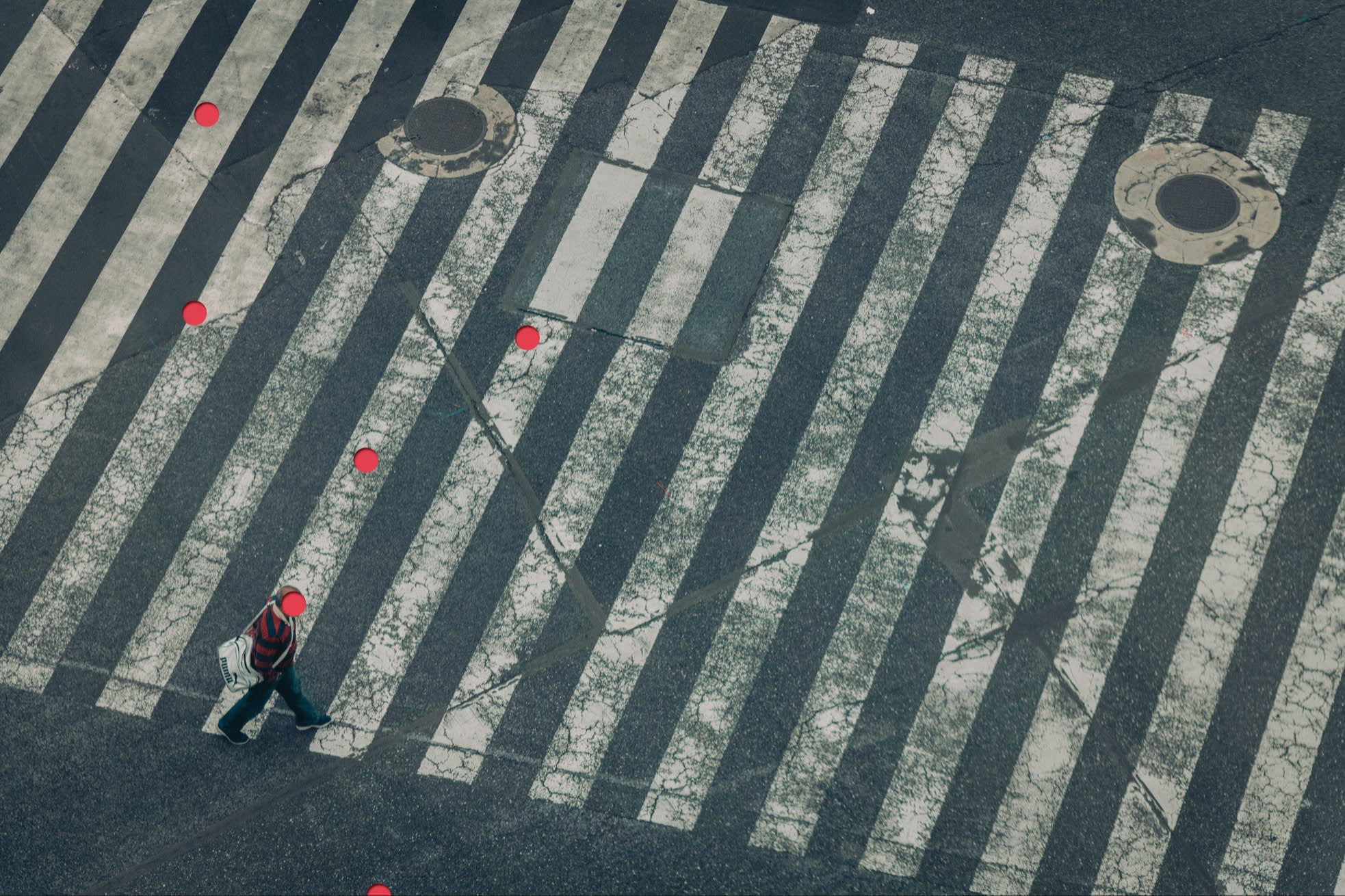 A single pedestrian walking across a wide striped crosswalk with red circles marking spots