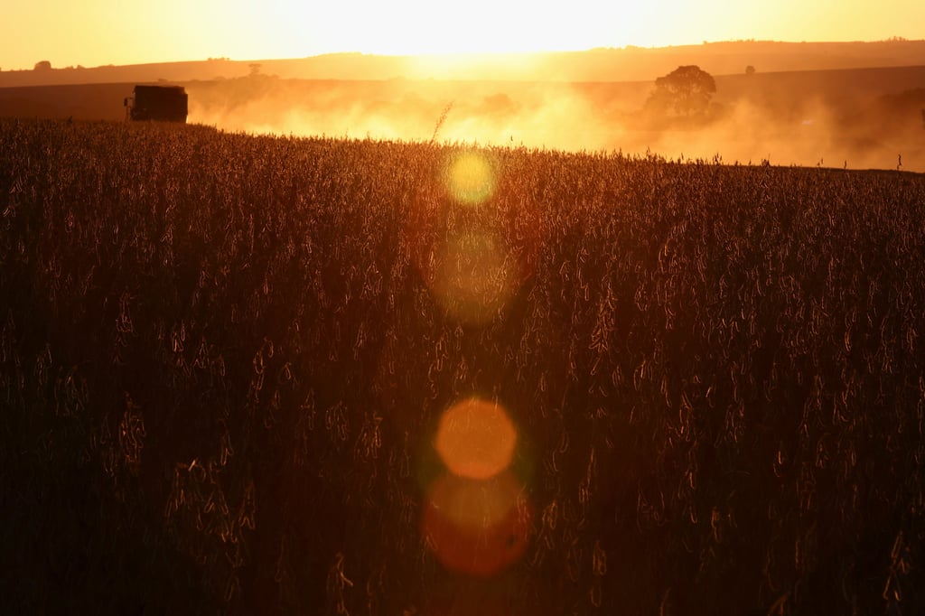 A farmworker operates a combine harvester during the soybean harvest season in Brazil’s southernmost state, on a farm in Nao Me Toque, Rio Grande do Sul state, Brazil, on April 4. Photo: Reuters A farmworker operates a combine harvester during the soybean harvest season in Brazil’s southernmost state, on a farm in Nao Me Toque, Rio Grande do Sul state, Brazil, on April 4. Photo: Reuters
