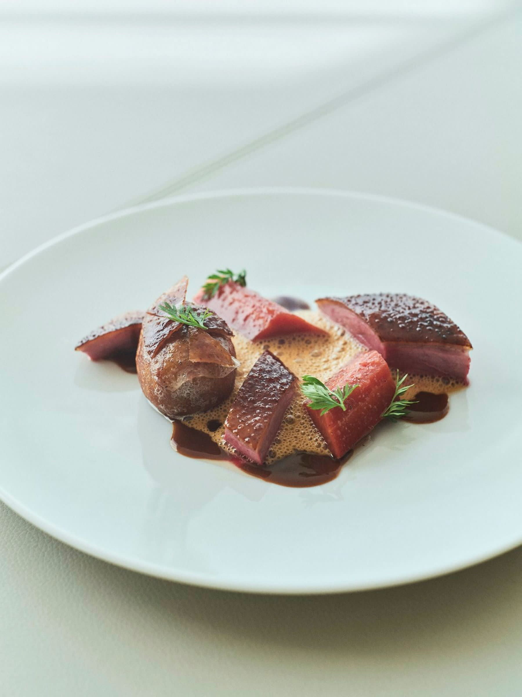 Sliced Megumi Gamo duck from Aichi with girolle mushrooms and sauce meurette, garnished with fresh herbs on a white plate.