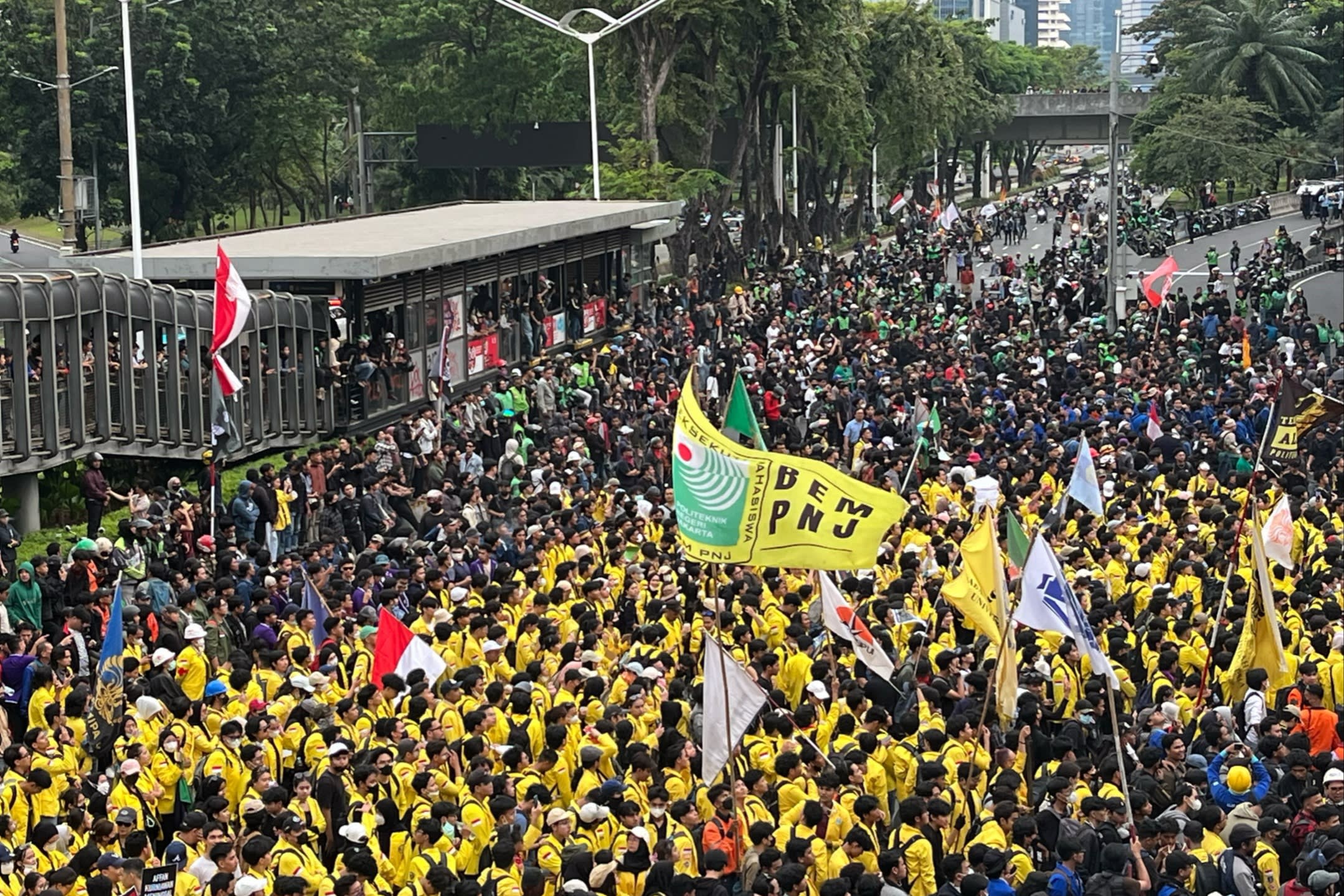 Huge crowds of protesters in Indonesia