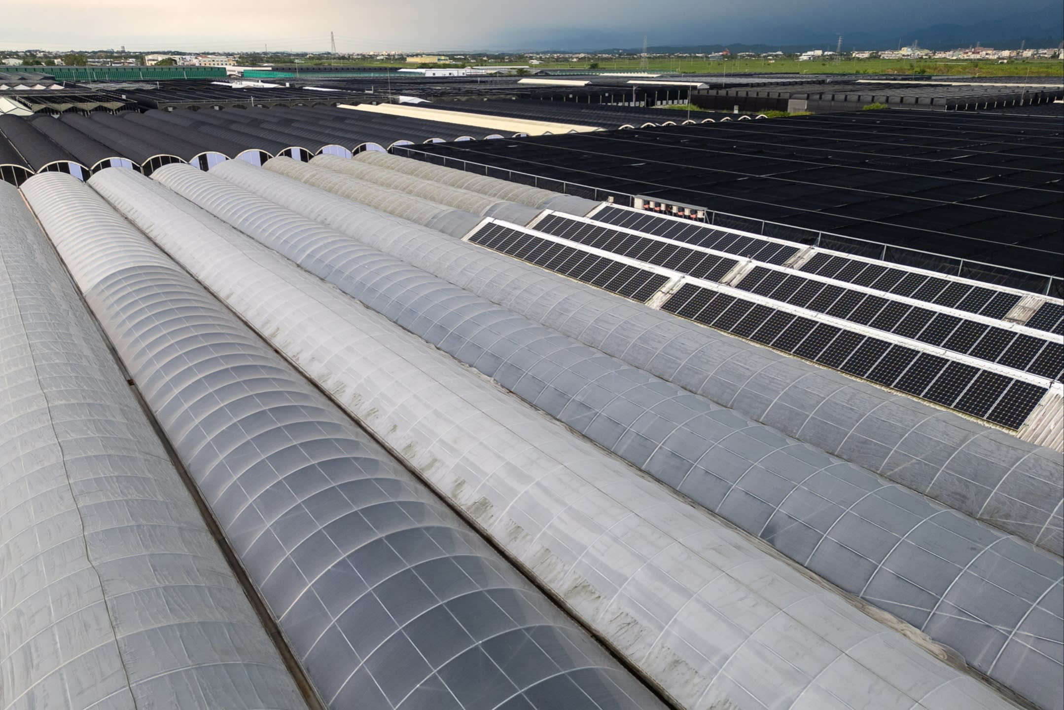 Aerial view of multiple large greenhouses, some with solar panels on their roofs, at Char Ming Agriculture in Tainan