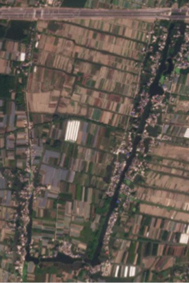 The image shows a satellite photo of farmland