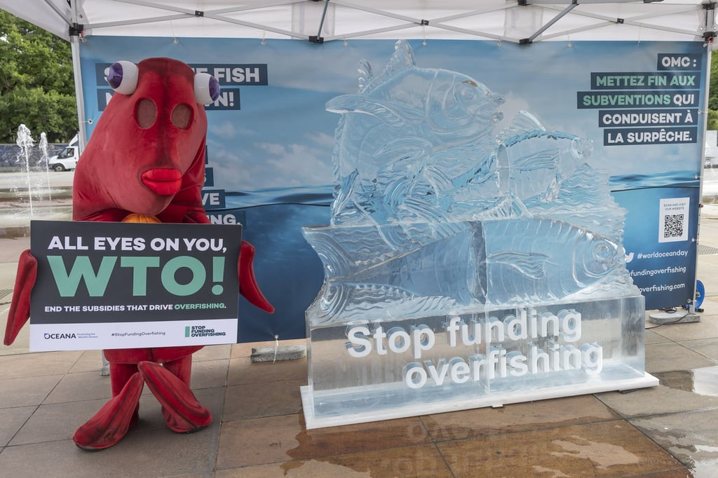 Oceana’s Finley, the fish mascot, poses during a World Ocean Day event at the Place des Nations in Geneva, Switzerland, on June 8, 2022, ahead of a WTO conference seeking agreement on the fisheries subsidies agreement. Photo: EPA-EFE Oceana’s Finley, the fish mascot, poses during a World Ocean Day event at the Place des Nations in Geneva, Switzerland, on June 8, 2022, ahead of a WTO conference seeking agreement on the fisheries subsidies agreement. Photo: EPA-EFE