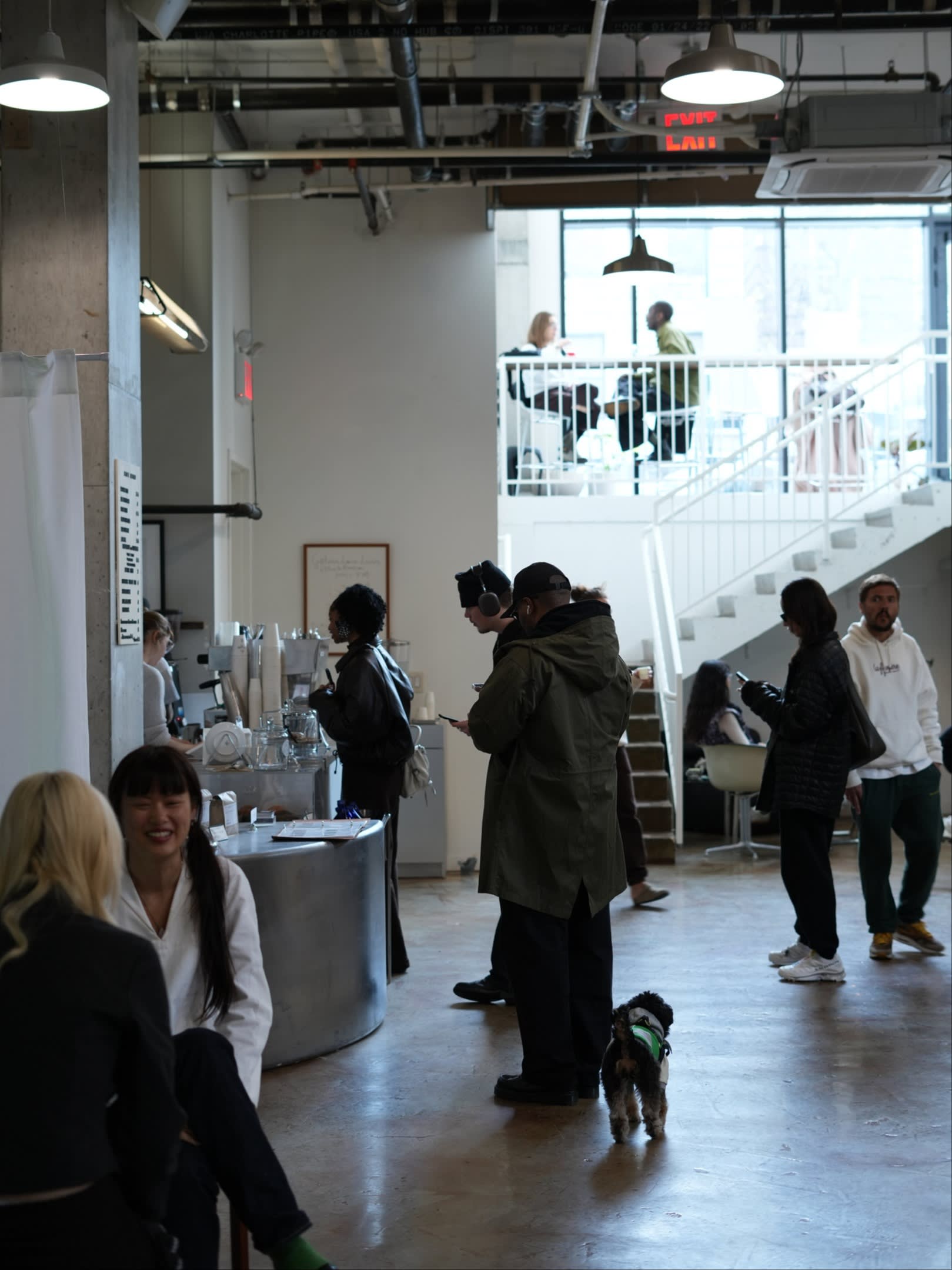 The interior of Café MSMN: people order drinks, chat, and work at tables inside a space with industrial decor; a small dog stands near a customer.