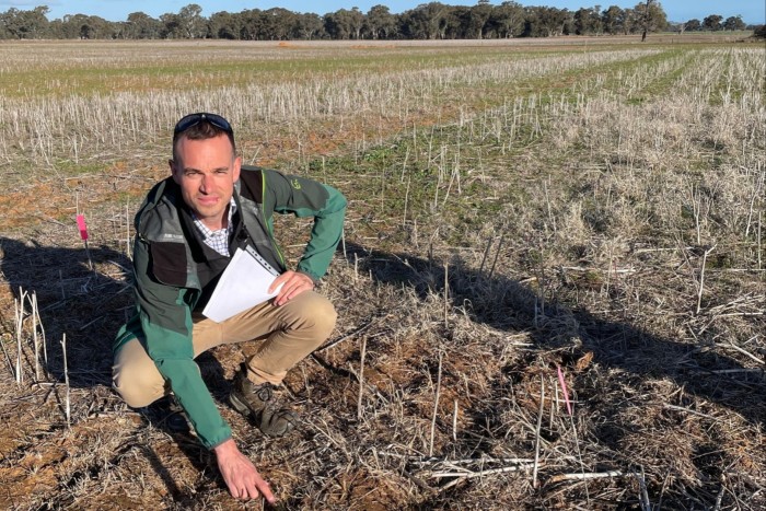 Moa’s head of trials Tom Clark